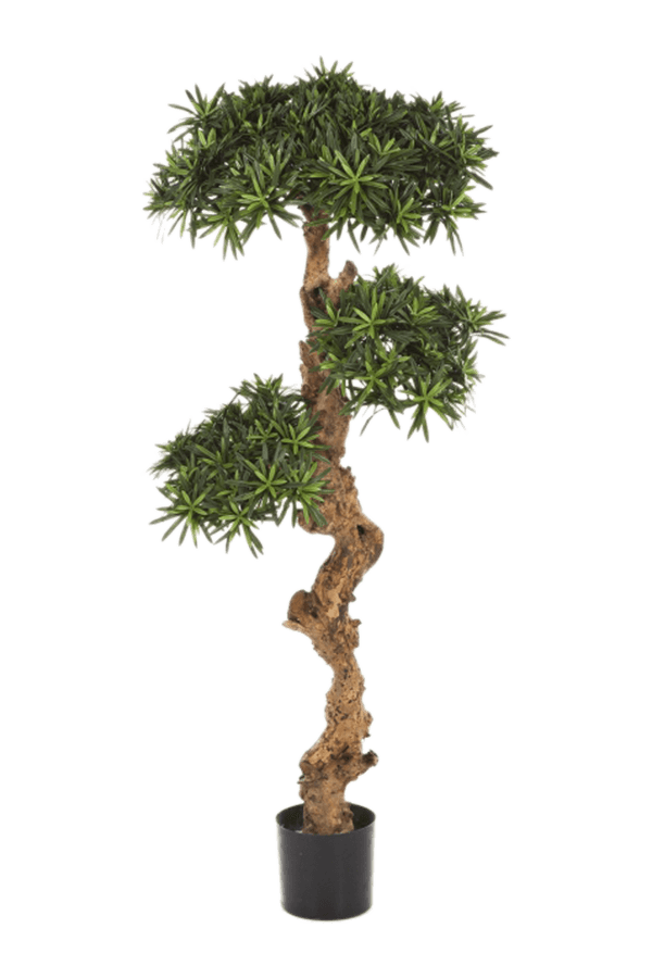 Podocarpus Kunstpflanze