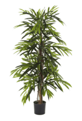Ficus Longifolia Kunstpflanze