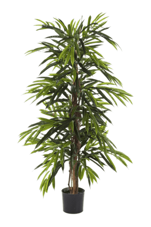 Ficus Longifolia Kunstpflanze