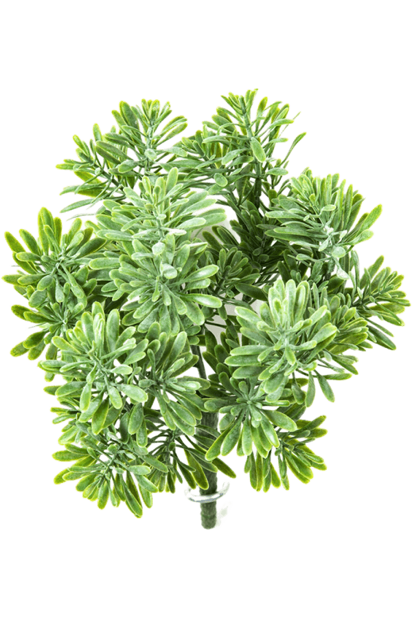 Dusty Miller Kunstpflanze