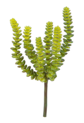 Crassula Perforata Kunstpflanze