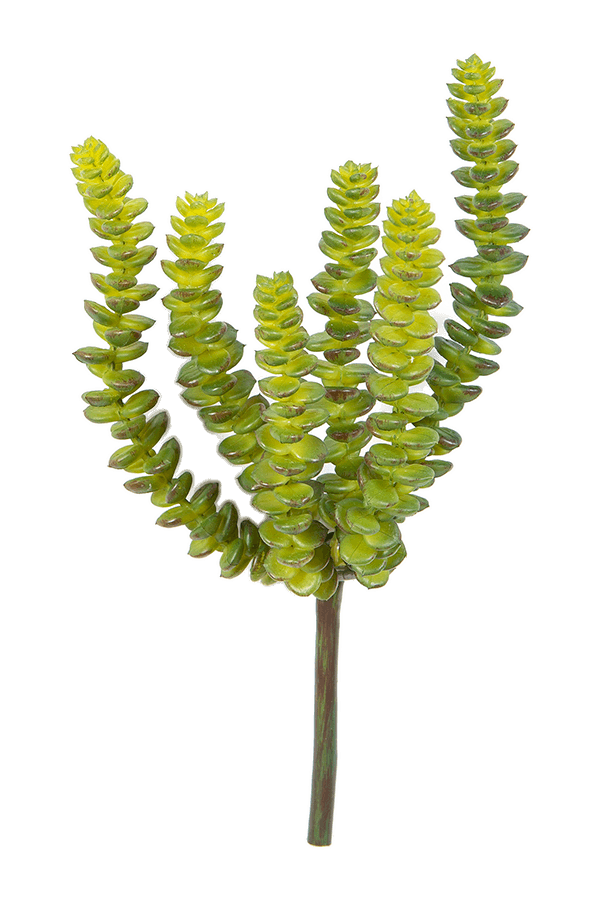 Crassula Perforata Kunstpflanze