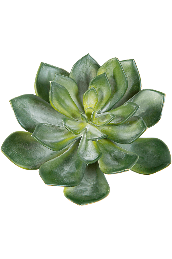 Echeveria Kunstpflanze