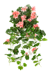 Geranium Kunstpflanze