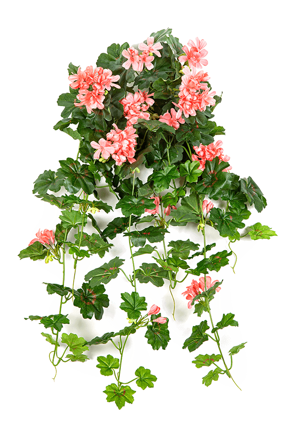 Geranium Kunstpflanze