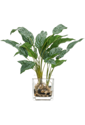 Aglaonema Kunstpflanze