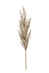 Gras Pampas Kunstpflanze