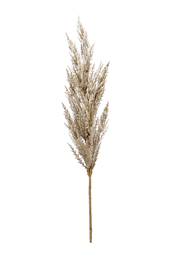 Gras Pampas Kunstpflanze