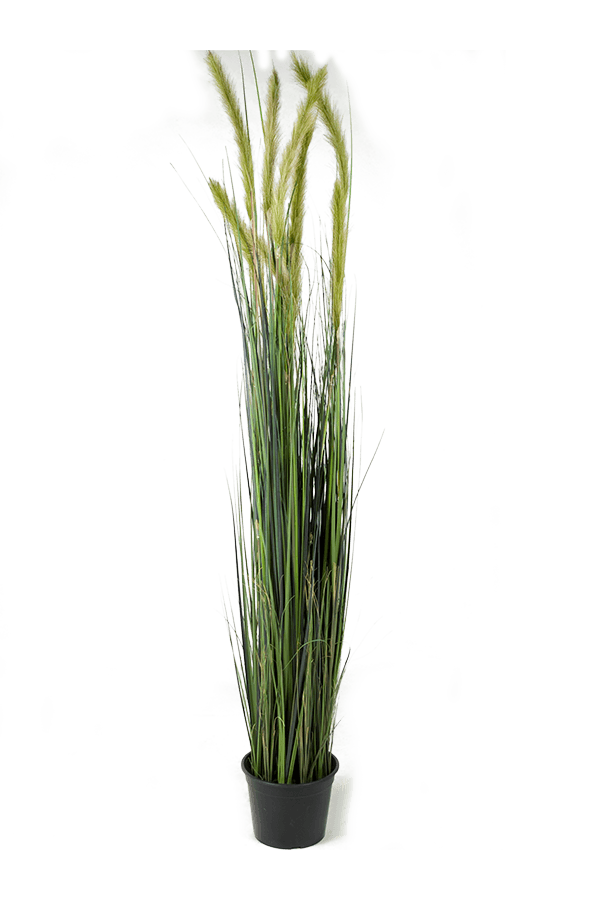 Gras Ackerfuchsschwanz Kunstpflanze