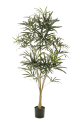 Plerandra Elegantissima Kunstpflanze