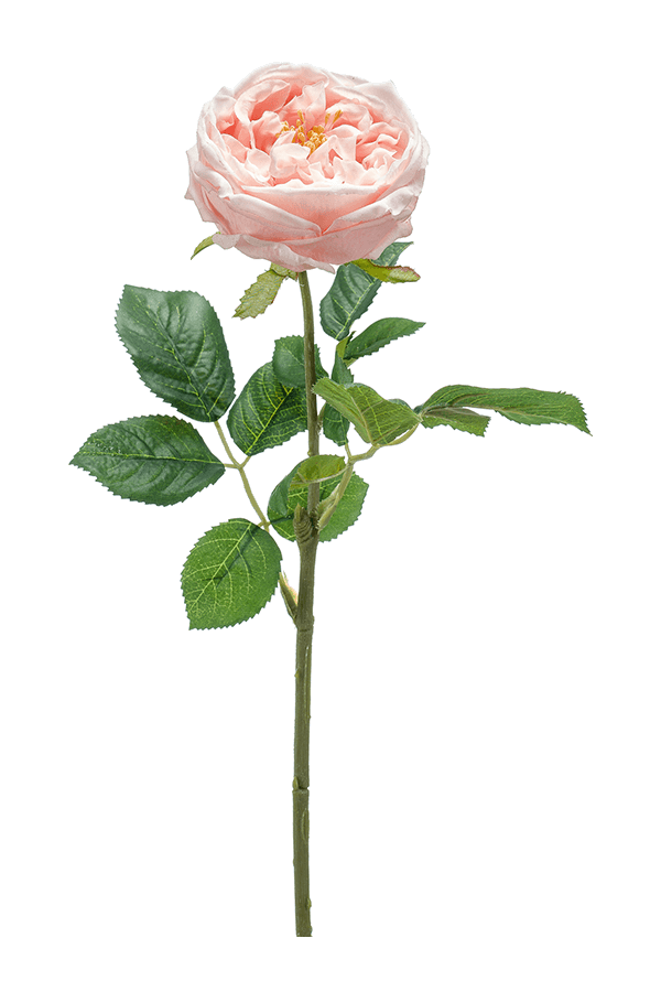 Rose Jenny RT Kunstpflanze