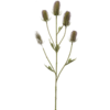 Dipsacus-Kunstpflanze