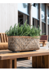 Bohemian Nouri S Bamboo