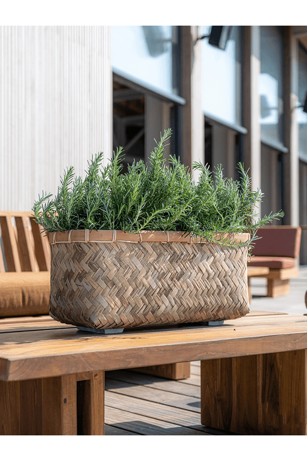 Bohemian Nouri S Bamboo