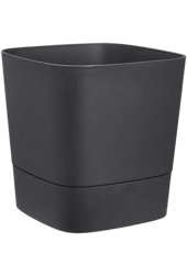 Greensense Aqua Care Square Holzkohle