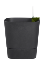 Greensense Aqua Care Square Holzkohle