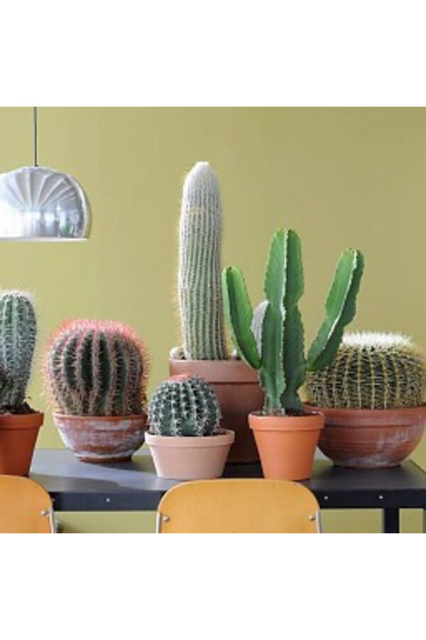 Klassischer Terrakotta-Blumentopf 60 - Kopieren - Kopieren