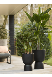 Pure® Coupe Schwarz