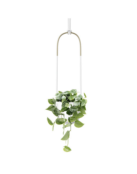 Umbra Bolo Hängeblumentopf mit Scindapsus pictus