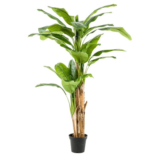 Bananenpflanze Kunstpflanze