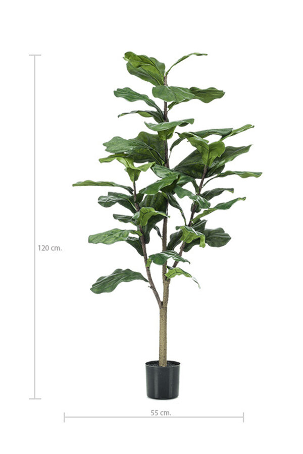 Ficus Lyrata M Kunstpflanze