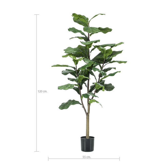 Ficus Lyrata M Kunstpflanze