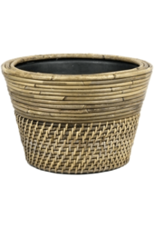 Rattan-Pfeffer M