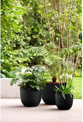 Fuente Körner Schwarz