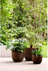 Fuente Körner Rusty