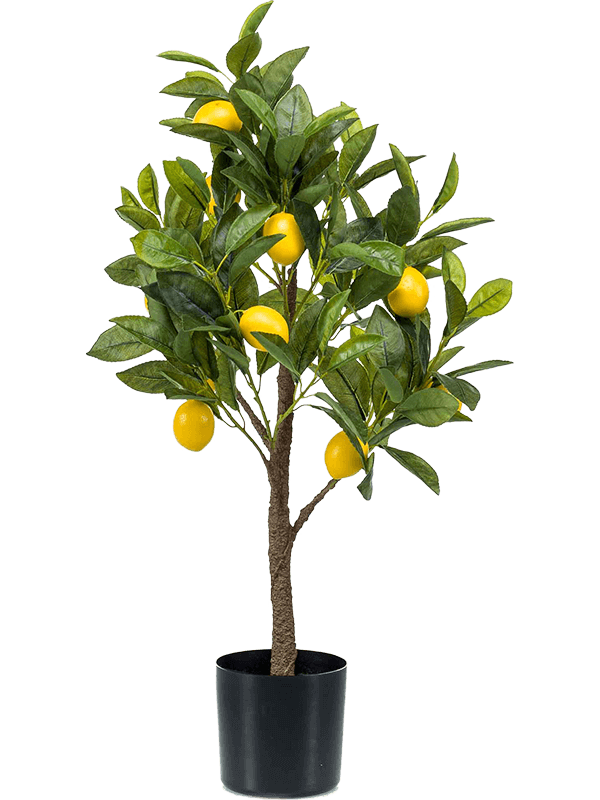 Bestellen Sie online? Zitronenbaum-Kunstpflanze Ihre