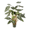 Alocasia Kunstpflanze