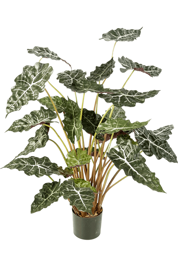 Alocasia Kunstpflanze