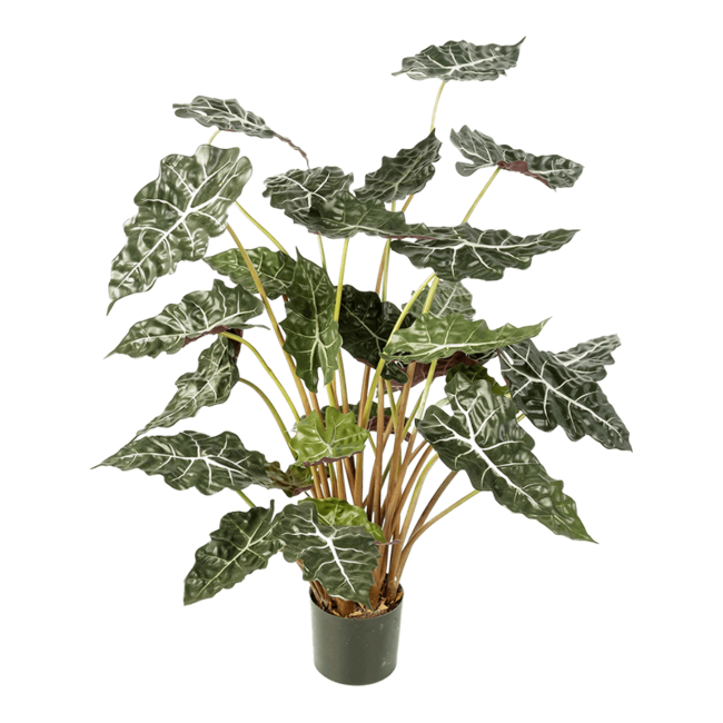 Alocasia Kunstpflanze