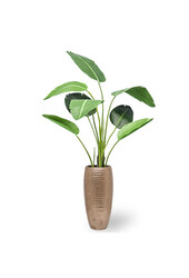 Künstliche Pflanze Strelitzia in gehämmertem Kupfer