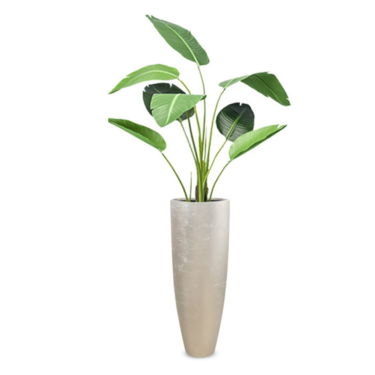 Kunstpflanze im exklusiven Topf bestellen? - www.fleurdirect.com