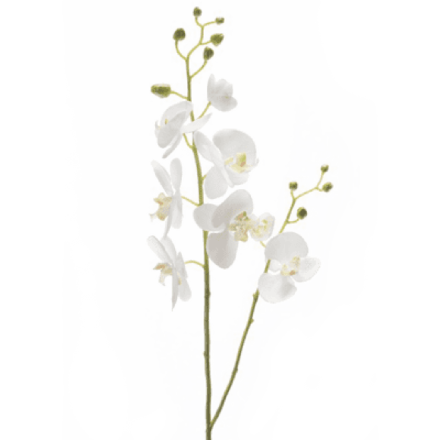 Phalaenopsis weißer künstlicher Zweig L
