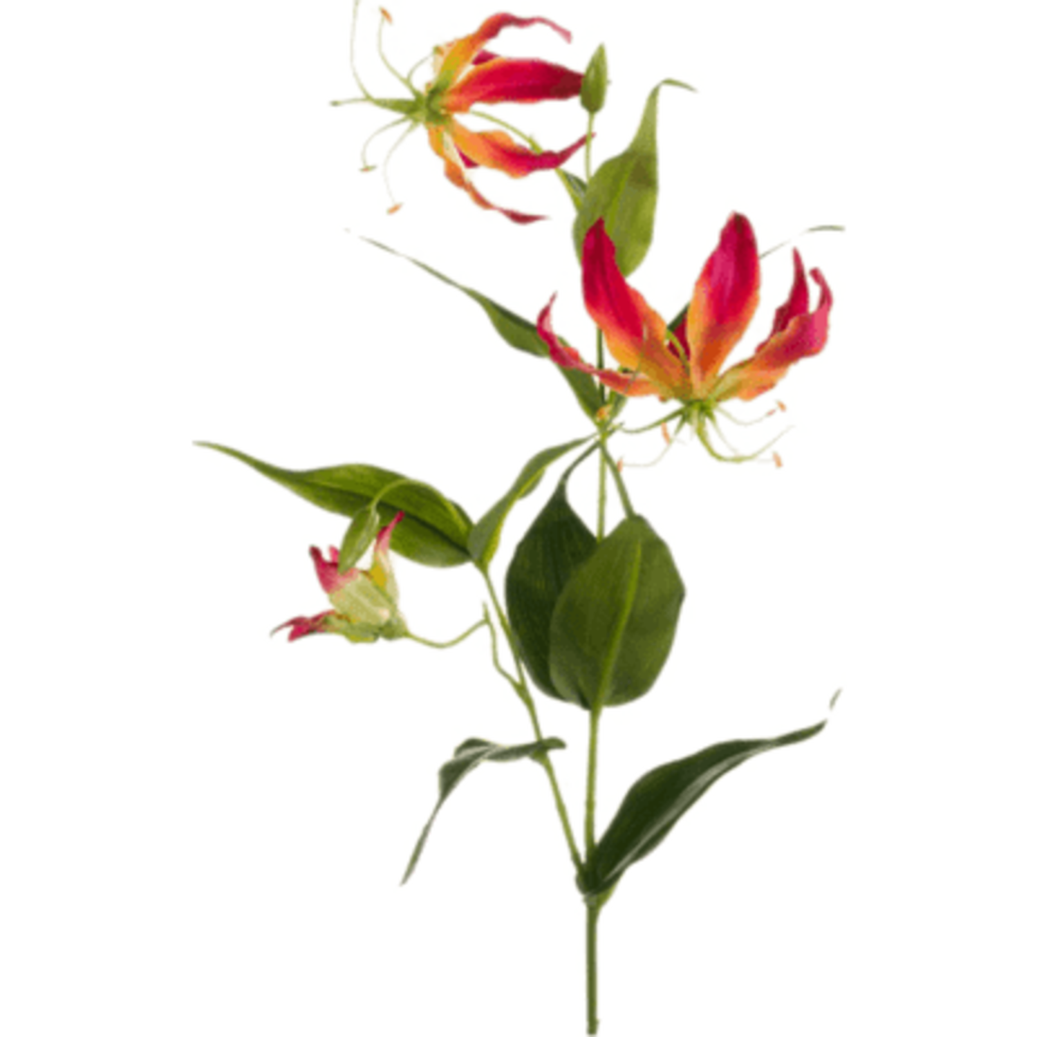 Knstlicher Gloriosa-Zweig - www.fleurdirect.com