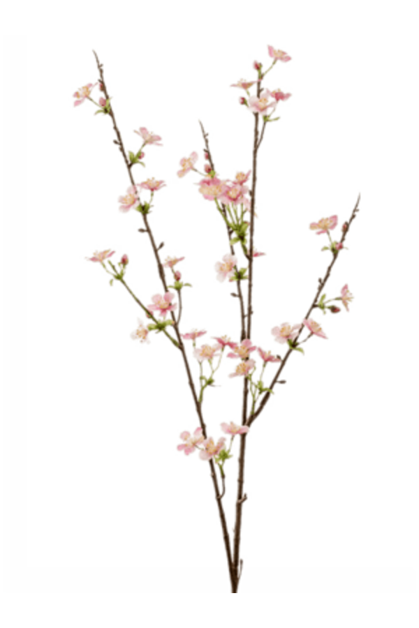 Apfelblüte