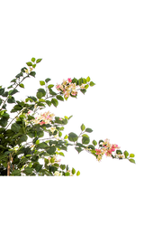 Kunstpflanze Bouganvillea nitida rosa