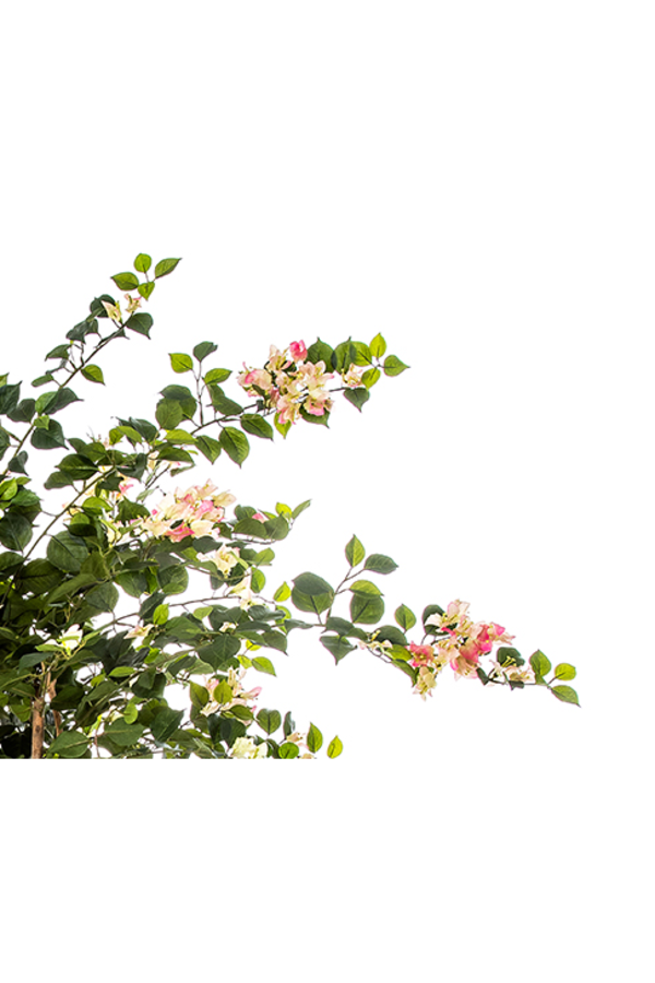 Kunstpflanze Bouganvillea nitida rosa