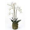 Orchidee weiß Kunstpflanze L