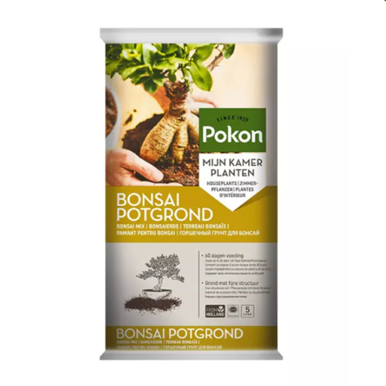 bonsai tree from seed RP Seeds: Bonsai Tree Seed Collection 1 main image 0