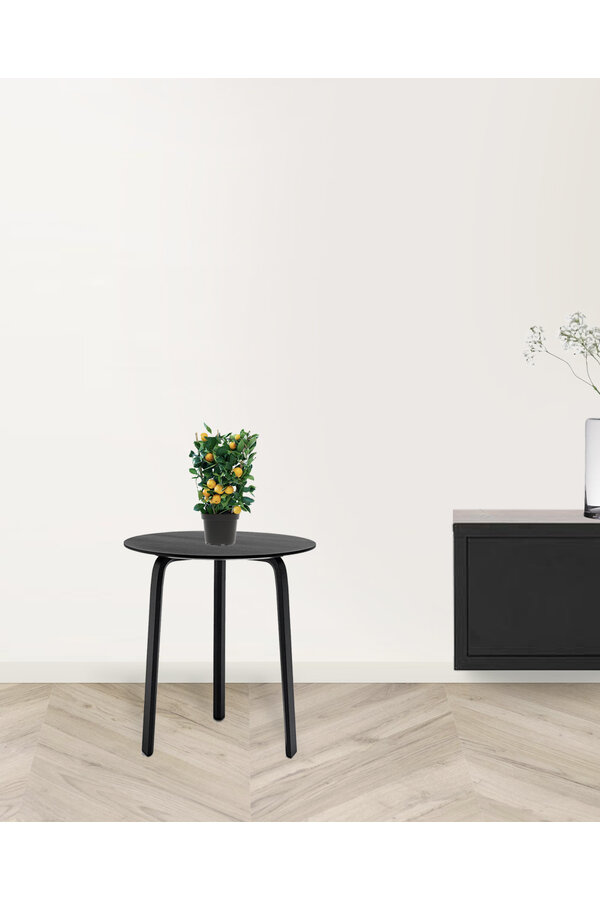 Orangenbaum auf Gestell XS