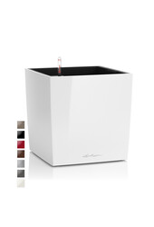 Premium Brick All Inclusive L - Verkauf