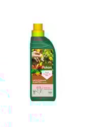 Mediterrane pflanzliche Lebensmittel