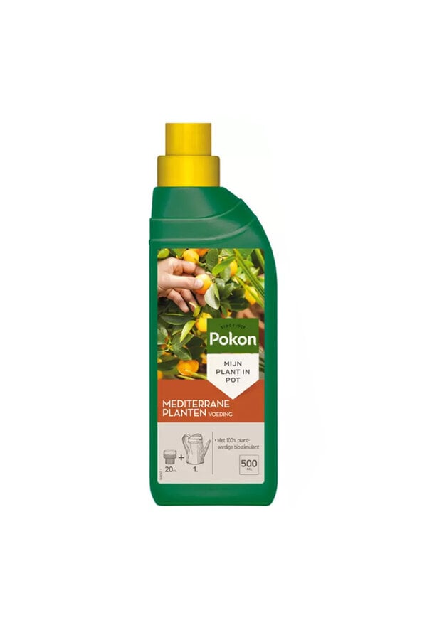 Mediterrane pflanzliche Lebensmittel