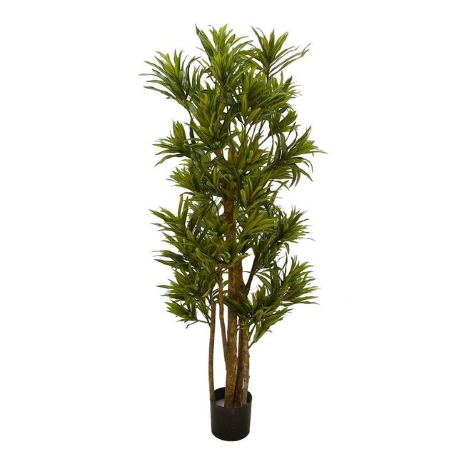 Dracaena reflexa Kunstpflanze