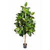 Ficus elastica Kunstpflanze