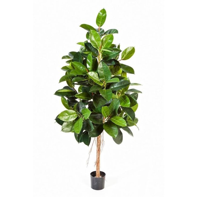 Ficus elastica Kunstpflanze