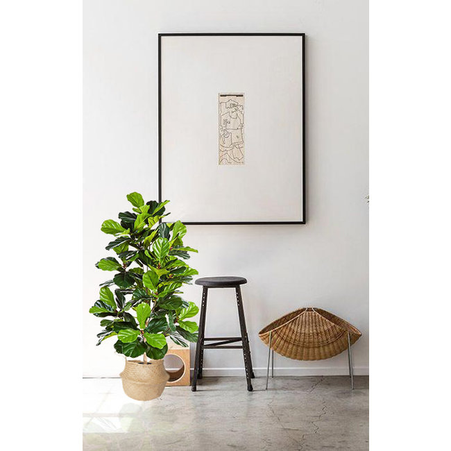 Ficus lyrata Kunstpflanze